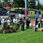 Championnat Fédéral F-F1